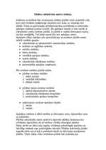 Referāts 'Pilsētu plānojuma struktūra', 4.