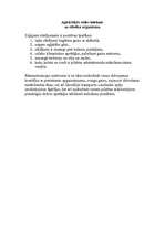 Referāts 'Pilsētu plānojuma struktūra', 6.