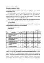 Diplomdarbs 'Оценка инвестиционного проекта', 41.