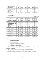 Diplomdarbs 'Оценка инвестиционного проекта', 51.