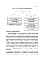 Prakses atskaite 'Praktisko darbu pārskats par apdrošināšanas akciju sabiedrību "BALVA"', 12.