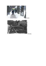 Konspekts 'Ceļa šķērsprofila satiksmes telpa, brīvtelpa. Šķērsprofila elementi un to funkci', 13.