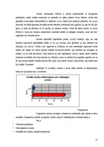 Referāts 'Deportācijas un to sekas šodien', 20.