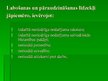 Prezentācija 'Ar brīvības atņemšanu notiesāto personu iesaistīšana sabiedriski derīgā darbā', 5.