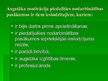 Prezentācija 'Ar brīvības atņemšanu notiesāto personu iesaistīšana sabiedriski derīgā darbā', 20.