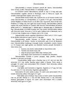 Referāts 'Austrālija, Antarktīda un Dienvidamerika', 4.