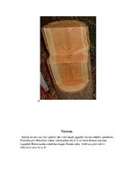 Referāts 'Somija', 6.