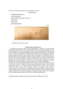 Konspekts 'Iežu masīvu hidrauliskās īpašības', 6.