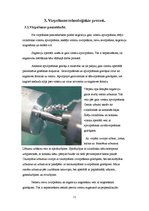 Konspekts 'Virpas un virpošana', 11.