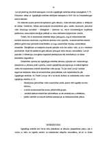 Referāts 'Ilgtspējīga attīstība', 13.