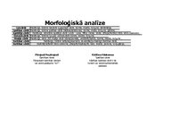 Konspekts 'Morfoloģiskā analīze', 2.