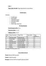 Paraugs 'Dzīvokļa vērtības noteikšana', 5.