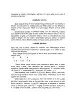 Referāts 'Spirts', 3.