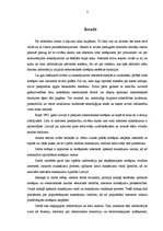 Referāts 'Maksājumi internetā', 3.