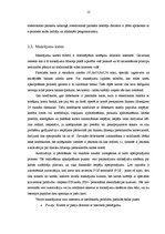 Referāts 'Maksājumi internetā', 12.