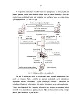 Referāts 'Maksājumi internetā', 14.