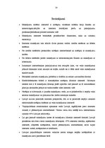 Referāts 'Maksājumi internetā', 24.