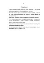 Referāts 'Maksājumi internetā', 25.