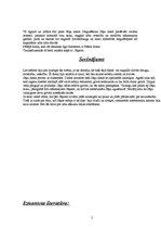 Referāts 'Jāņi', 5.