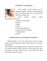 Biznesa plāns 'SIA "Reine"', 5.