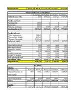 Biznesa plāns 'SIA "Reine"', 21.