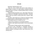 Referāts 'Čikāgas skolas pētījumu virzieni', 3.