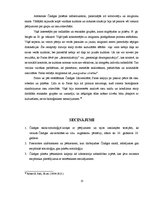 Referāts 'Čikāgas skolas pētījumu virzieni', 13.