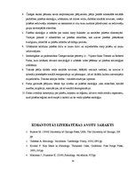 Referāts 'Čikāgas skolas pētījumu virzieni', 14.