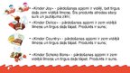 Prezentācija 'Produktu "Kinder" protfelis un tirgus iespējas', 6.