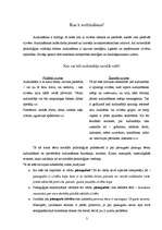 Referāts 'Pieaugušo paraugs kā audzināšanas līdzeklis', 3.