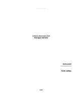 Referāts 'Enerģijas dzērieni', 1.