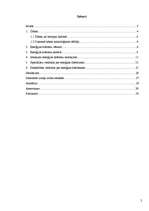 Referāts 'Enerģijas dzērieni', 2.