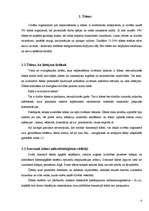 Referāts 'Enerģijas dzērieni', 4.