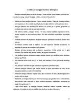 Referāts 'Enerģijas dzērieni', 10.