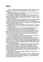 Referāts 'Ozons', 1.