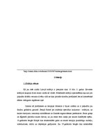 Referāts 'Mākslīgais iedegums', 4.