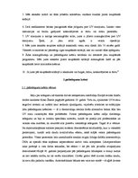 Referāts 'Mākslīgais iedegums', 11.