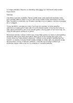 Eseja 'Vikingu karadarbība', 2.