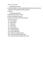 Referāts 'Nauda', 4.