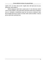 Referāts 'Galvenās atšķirības teorijās par lielo grupu psiholoģiju', 13.