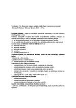 Konspekts 'Lasīšanas kultūras jēdziena skaidrojums', 3.