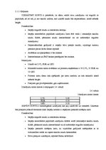 Prakses atskaite 'Prakses atskaite', 11.