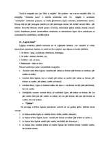 Diplomdarbs '6-7 gadu vecuma bērnu loģiskās domāšanas attīstība matemātikas nodarbībās', 30.