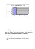Diplomdarbs '6-7 gadu vecuma bērnu loģiskās domāšanas attīstība matemātikas nodarbībās', 44.