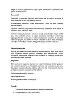 Konspekts 'Ādas tuberkuloze', 4.