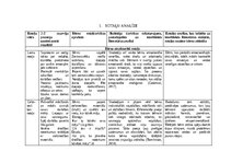 Referāts 'Rotaļu analīze', 6.