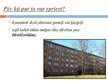Prezentācija 'Tipisks mājoklis Latvijā', 8.