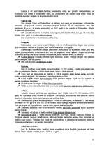 Referāts 'Āfrika', 21.