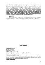 Referāts 'Āfrika', 23.