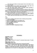 Referāts 'Āfrika', 26.